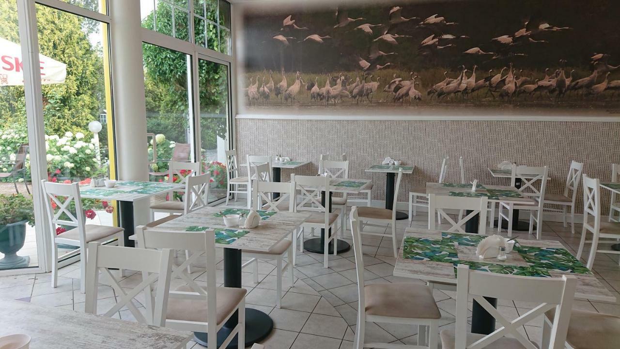 Damroka Bed & Breakfast Leba Ngoại thất bức ảnh